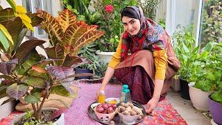 IRAN Village Life: How Iranian People Life in the Village | Amazing Cooking