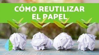 Tiempo de DEGRADACIÓN DEL PAPEL ⏱️️ (Cómo REUTILIZAR PAPEL)