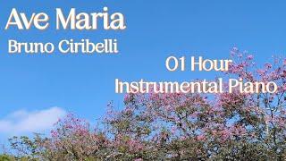 Ave Maria by Bruno Ciribelli / 1 Hour of Music to Soothe and Pacify / Instrumental Piano