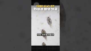 미생물이 알을 낳는 장면을 현미경으로 포착했습니다.