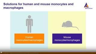 Solutions for myeloid cell research - from periphery to brain