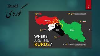 From Assimilation to Standardization:  Language Policy and Linguistic Rights in Kurdistan