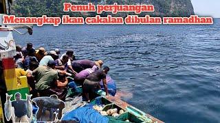 Penuh perjuangan ll menangkap ikan cakalan dibulan ramadhan ll Nelayan puger jember