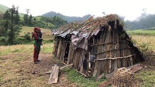 Organic Nepali Mountain Village Shepherd Life | Rainy Day | Most Peaceful And Relaxing Rural Life |