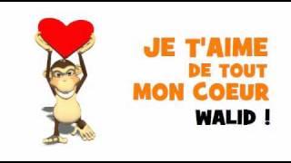 SAINT VALENTIN   JE T'AIME WALID