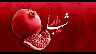 مینی چت | رضا فرشته  - شب یلدا مبارک || Reza Fereshteh | minichat