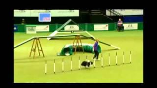 Crufts 2011 - Championship Final - Lucy Osborne & Ben