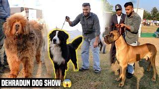 Biggest Dog Show in Uttarakhand | Dehradun Dog Show 2023