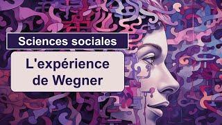 Expérience de Wegner - "Ne pensez pas à un ours blanc"