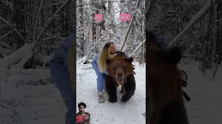 Amazing video with beer ice #bear #cute #bearart #animals #love cream