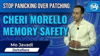Stop Panicking Over Patching: CHERI Morello Memory Safety