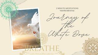 Journey Of The White Dove