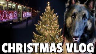 Christmas Markets in the Heart of Europe and More | Dog VLOG