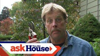 How to Prune Shrubs | Ask Roger | Ask This Old House