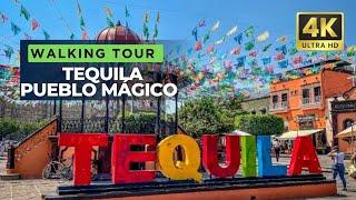 Tequila, Jalisco: Al menos si debes tomarte un cantarito. | 4K Walking Tour | Jalisco 