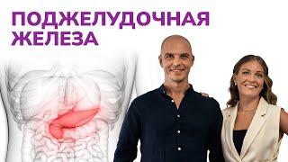 Поджелудочная железа. ПРЯМАЯ ТРАНСЛЯЦИЯ 03.02 в 10:00 мск