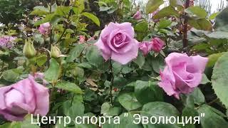 Евпатория сегодня. По городу на авто. Улица 60 -летия СССР. Центр спорта Эволюция.