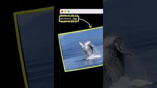 How to find files hidden in pictures?