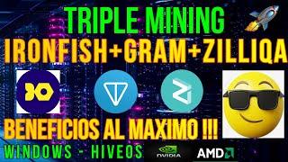 TRIPLE MINING DE IRONFISH + GRAM + ZILLIQA - BENEFICIOS AL MAXIMO - WINDOWS - HIVEOS - NVIDIA - AMD