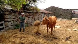 AGOLADA, EL CENTRO DE GALICIA