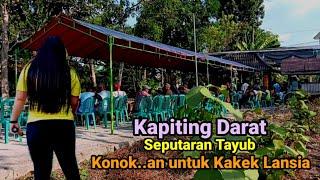 Kepiting darat area lokasi Pagelaran Tayub layanan Jasa menemani nonton berbayar Bapak Kakek lansia.