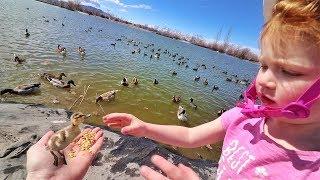 FEEDING BABY DUCKS!! ultimate family picnic at the park with Adley and Niko