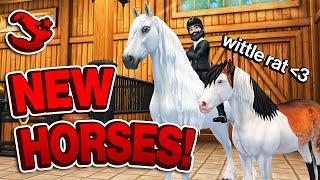 Star Stable - Buying The New Horse Coat Variations! 