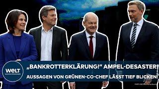 GERMANY: "Declaration of bankruptcy!"  Statements by Green Party co-leader give a deep insight