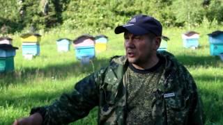 Владимир Шишкин