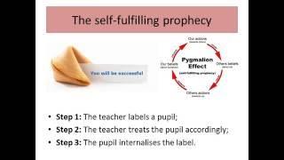 03 Social Class & Education (Internal Factors)