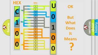 DTC Suzuki U0100 Short Explanation