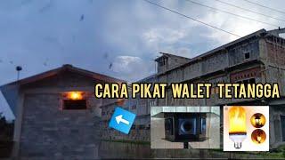 CARA MEMIKAT WALET TETANGGA AGAR PINDAH KEGEDUNG BARU