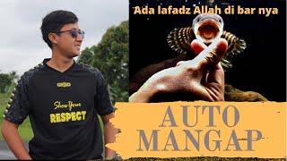 GREBEK SAUNG FISH AQUATIC KUPAS TUNTAS AURANTI | ADA AURANTI BERLAFADZ ALLAH Part 01