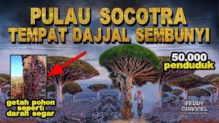 JARANG DIBAHAS! Pulau Tempat Dajjal Sembunyi Jadi Rebutan Negara Arab! Aneh dan Uniknya Alam Socotra