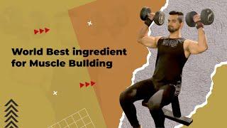 World's Best Ingredient For Building Muscles and Fat Loss || Vinu Arora Fitness