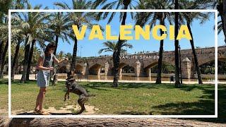 Valencia - Spanien | Mit dem Van in der Stadt | City, Pizza and Cervecas | VanLife Europe Episode 3