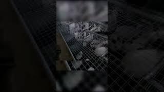 Самые плохие кормушки!