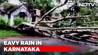 Trees Uprooted, Roads Blocked Due To Heavy Rain In Karnataka