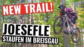 Joesefle Trail Staufen mit dem EMTB - Neuer Legaler MTB Trail im Schwarzwald!