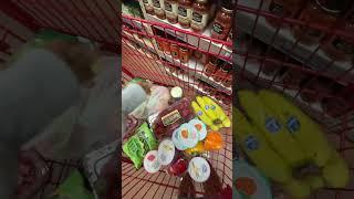 Come with me to Trader Joe’s! #groceryshopping #groceryhaul #vlog #budgetgrocery #traderjoeshaul