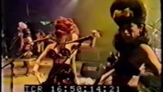 Darin Scheff Bass - El Vez Burning Love Roskilde 1991