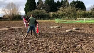 Horse (mule) agility, Advanced 1* level, class 9D, January 2021. Ellen and Inara.