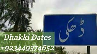 Dhakki Date ڈھکی کھجور