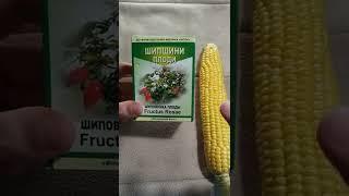 как улучшить потенцию у мужчин   #потенция