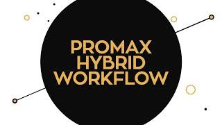 ProMAX Hybrid Workflows