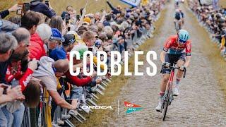 Seeking Excellence: Cobbles | Lotto Dstny