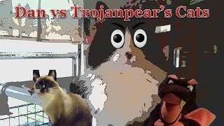 Dan vs Trojanpear's Cats