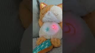Calming Purrs Kitty - Purring Calming Toy #calming #purring #vtechbaby #kitty