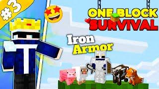 I Made Full Iron Armor In Minecraft OneBlock 