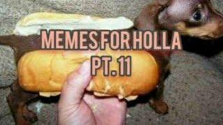 Memes That Will Make You Die Laughing (YLYL)